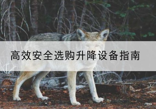 商州升降货梯厂家推荐-*安全选购升降设备指南