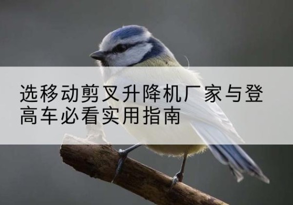 商州电动升降机厂家-选移动剪叉升降机厂家与登高车必看实用指南