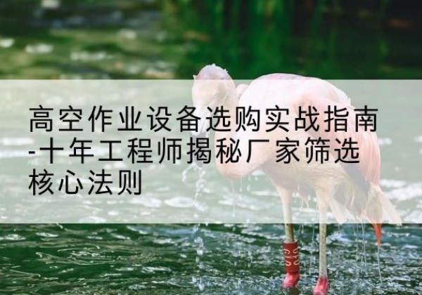 商州剪叉式升降机厂家-高空作业设备选购实战指南-十年工程师揭秘厂家筛选核心法则